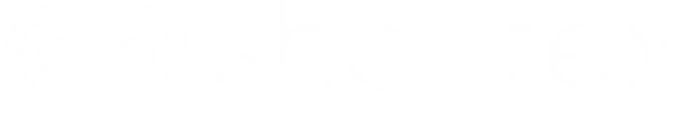 ShoutEx